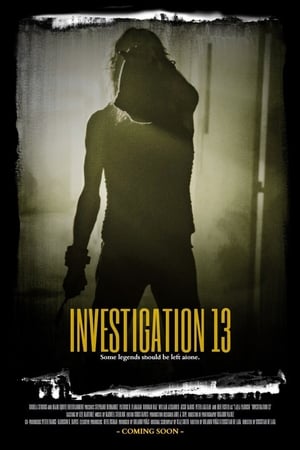 Расследование 13 онлайн